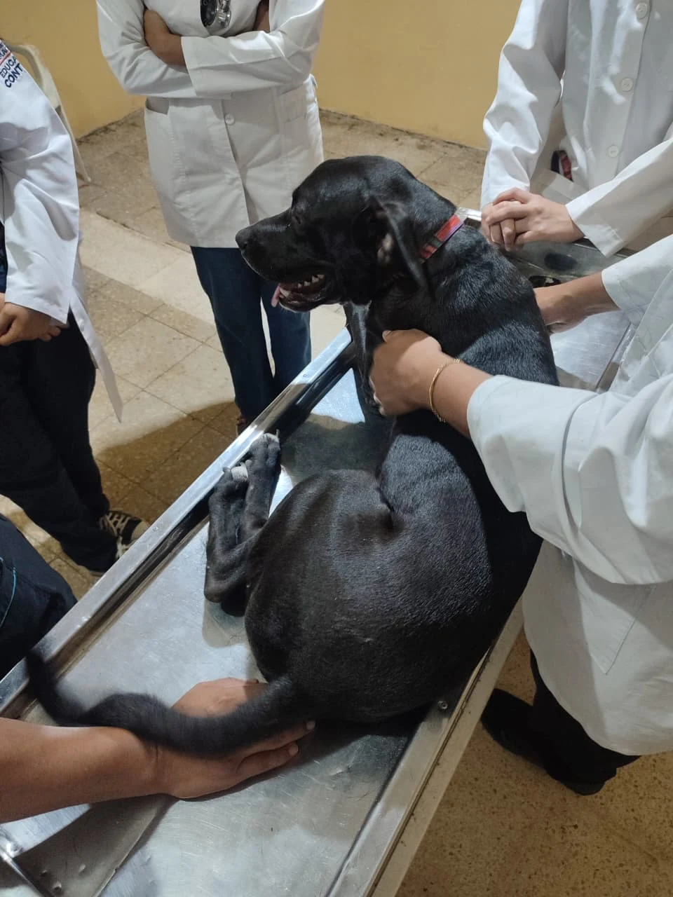 Ares durante una evaluación física con estudiantes