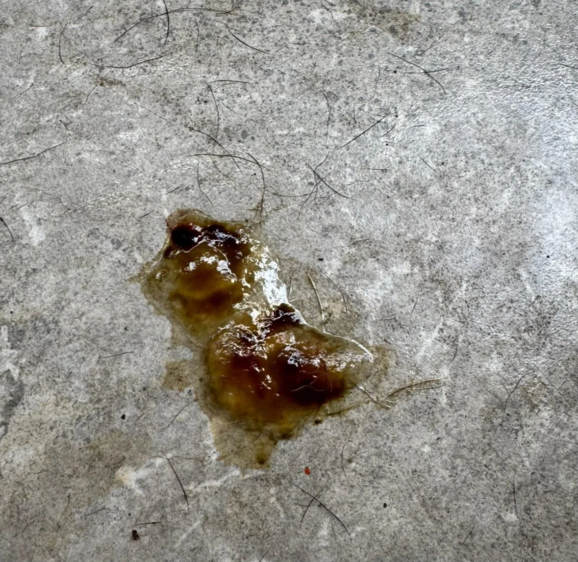 Material fecal líquido mucoide amarillento a marrón con zonas rojizas